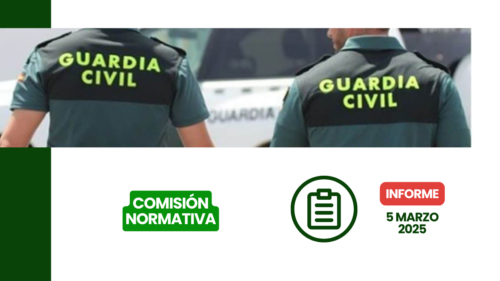 informe de la Comisión Preparatoria del 6 de marzo de 2025.
