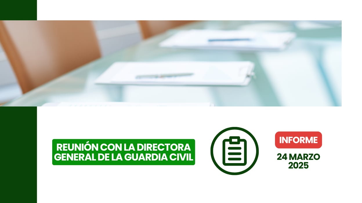 La Directora General de la Guardia Civil en una reunión oficial