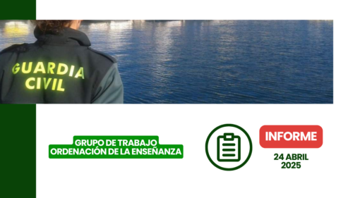 informe del Grupo de Trabajo sobre la ordenación de la enseñanza en el sistema educativo español.
