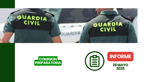 Documento oficial de la Comisión Preparatoria del 28 de mayo de 2025 con conclusiones y decisiones clave