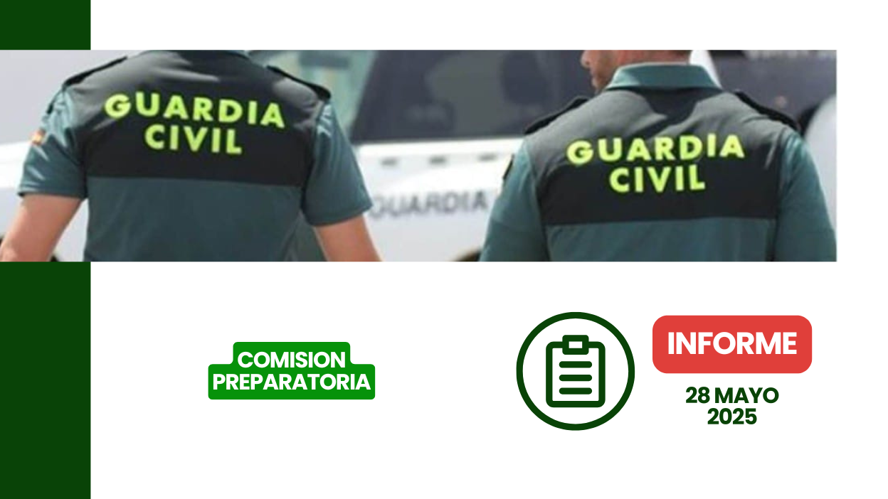 Documento oficial de la Comisión Preparatoria del 28 de mayo de 2025 con conclusiones y decisiones clave