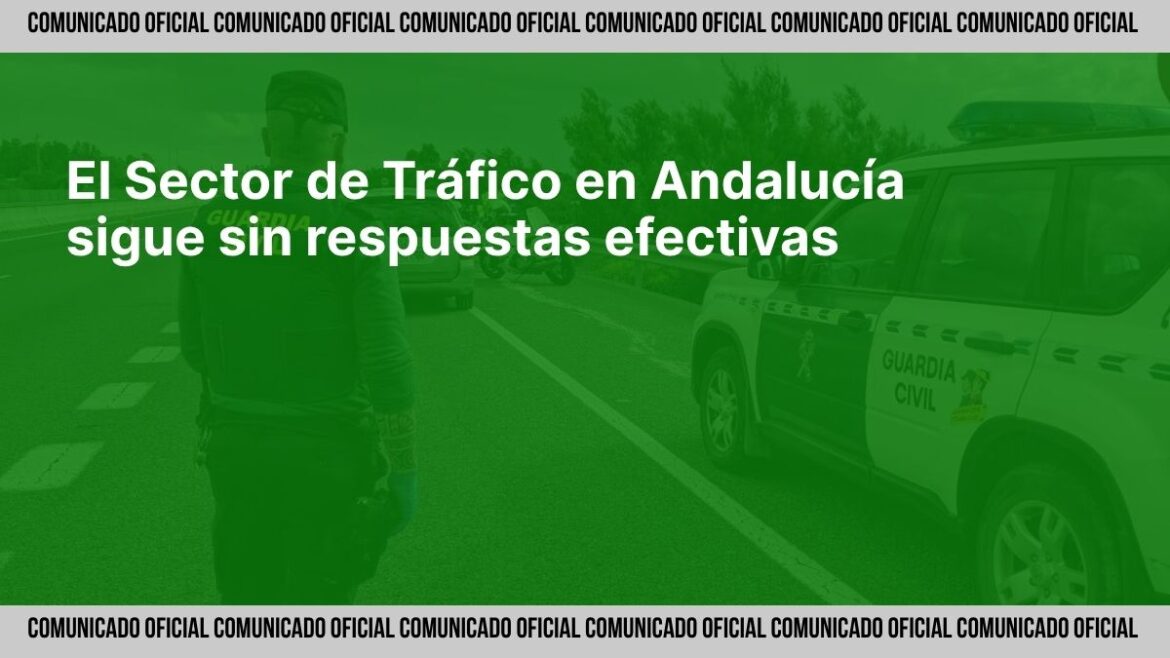 Representantes de JUCIL reunidos con el coronel jefe del Sector de Tráfico de Andalucía en Sevilla, junio de 2025