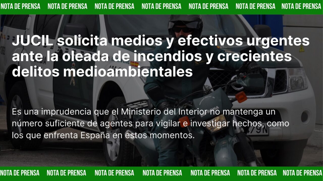 Agentes del SEPRONA de la Guardia Civil durante labores de vigilancia y protección ambiental en un incendio forestal en España.