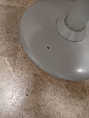 jucil-denuncia-ratas-y-falta-de-higiene-en-el-aeropuerto-de-barajas_int-3